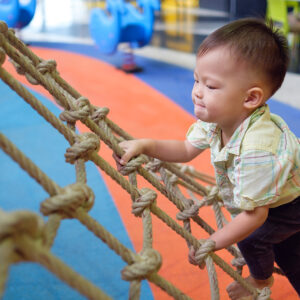 FCCT course Module 05: Child Development